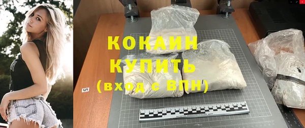 прущие грибы Волосово