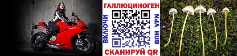 Купить где  Купино  Галлюциногенные грибы прущие грибы 